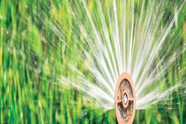 Boland Garden Solutions