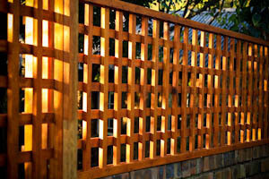 Firefly Landscape Design