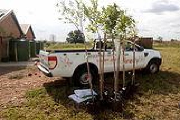 Firefly Landscape Design