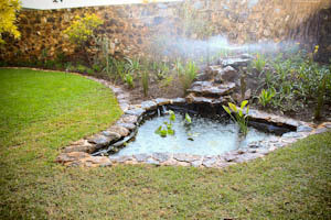 Firefly Landscape Design