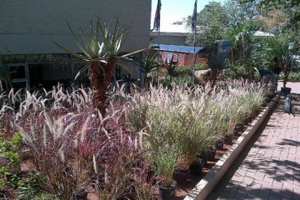 Green Turf Horticultural
