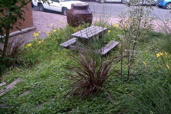 Green Turf Horticultural