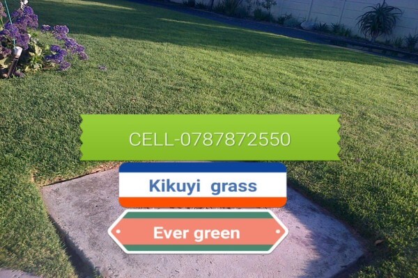 Hazel Lee Gardens