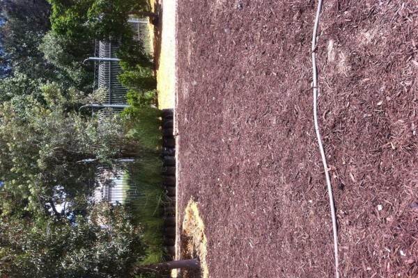Hazel Lee Gardens