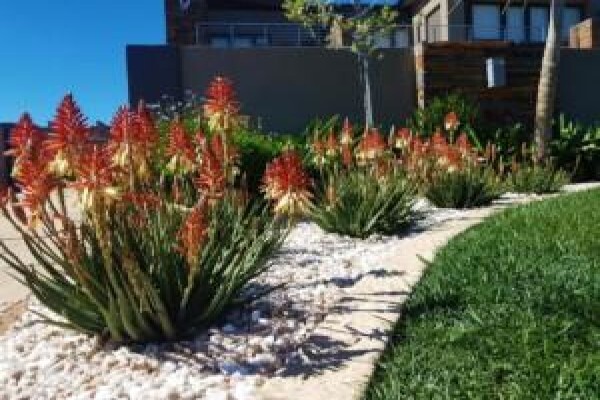 Living Green Landscapes Cc