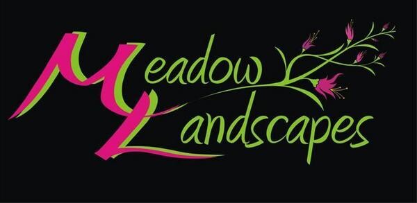 Meadow Landscapes