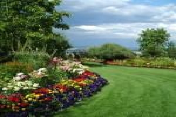 Nyasha Garden