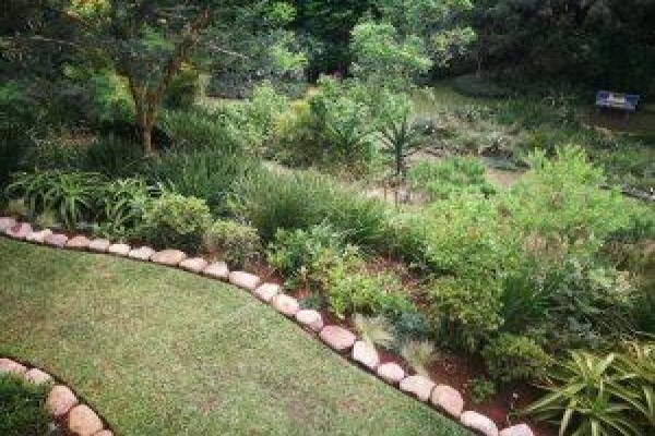 Paul'S Plantscapes