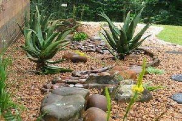 Paul'S Plantscapes