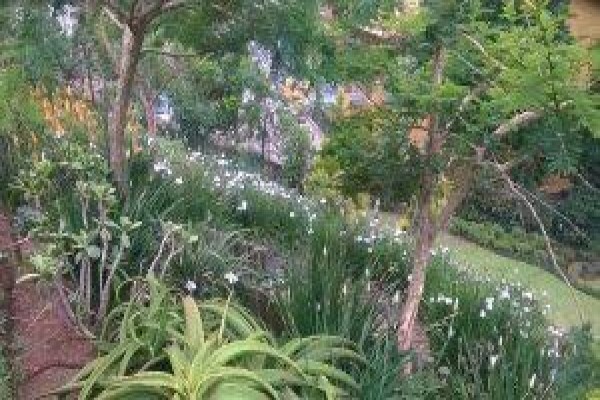Paul'S Plantscapes