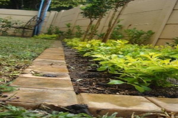 Subtropical Garden & Pool Services Cc