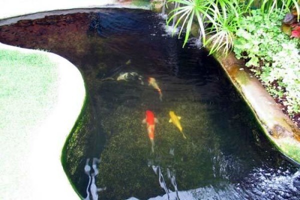 Subtropical Garden & Pool Services Cc