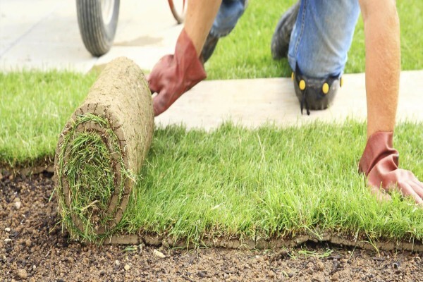 Subtropical Garden & Pool Services Cc