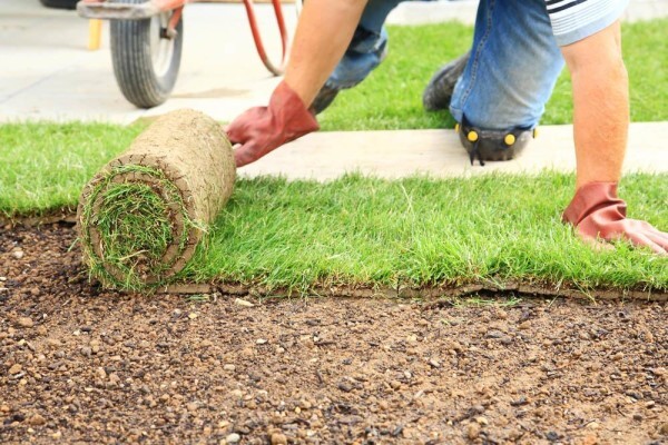 Subtropical Garden & Pool Services Cc
