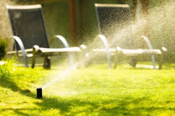Subtropical Garden & Pool Services Cc