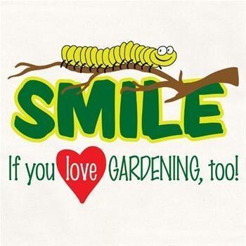Sunflowers Landscaping And Garden Services