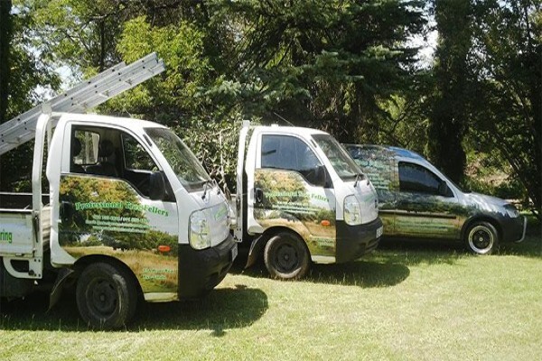 Professional Tree Fellers