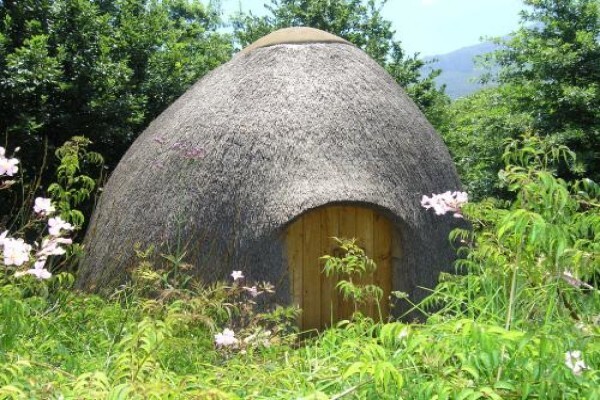 Green Themes Landscape Gardener