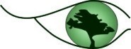 Green Vision, Landscape And Garden Practice