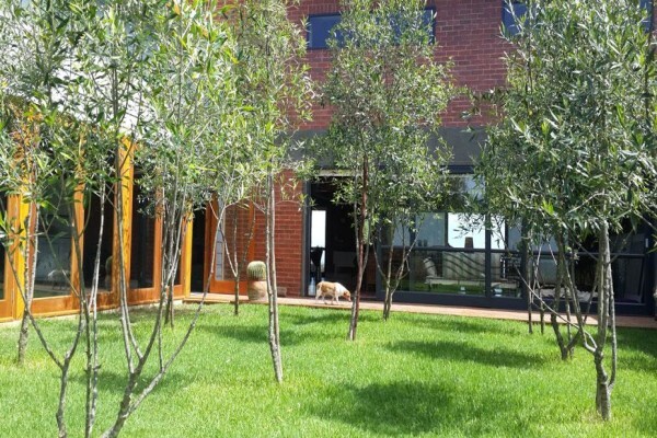Apple Landscape Johannesburg Cc