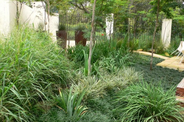 Apple Landscape Johannesburg Cc