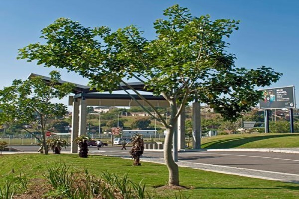 Idube Landscaping