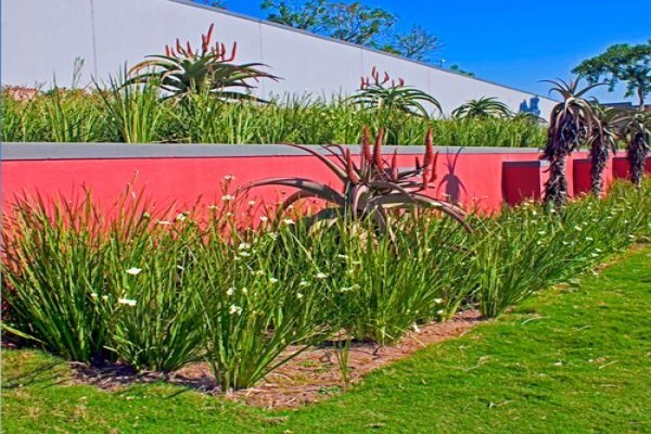 Idube Landscaping