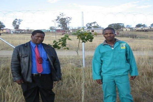 Idube Landscaping