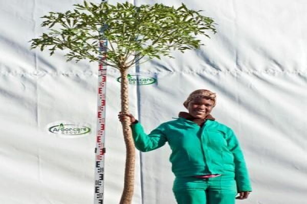 Idube Landscaping