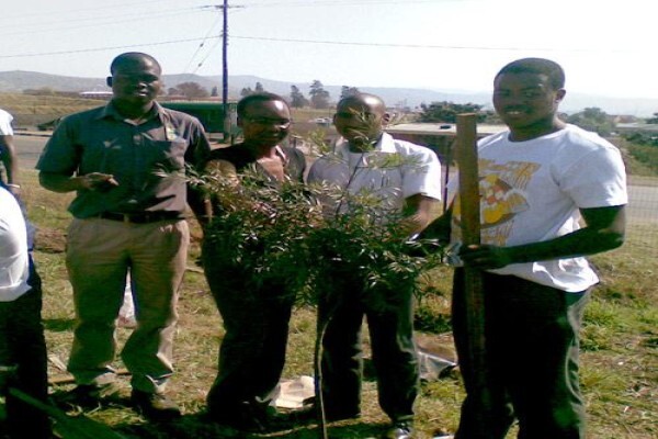 Idube Landscaping