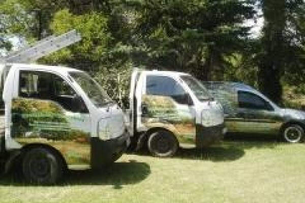 Professional Tree Fellers