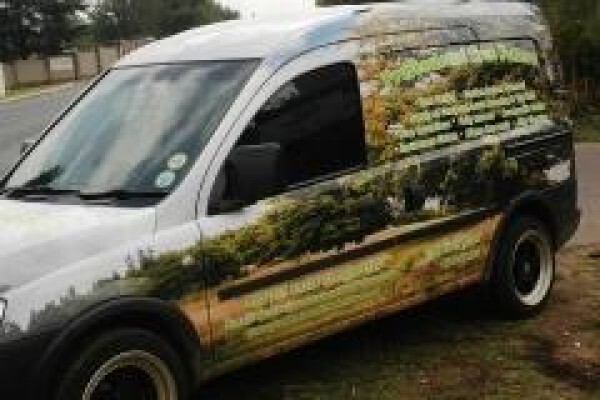 Professional Tree Fellers