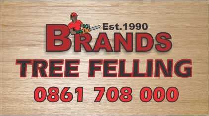 Brands Tree Felling
