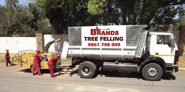 Brands Tree Felling