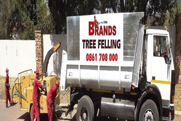 Brands Tree Felling