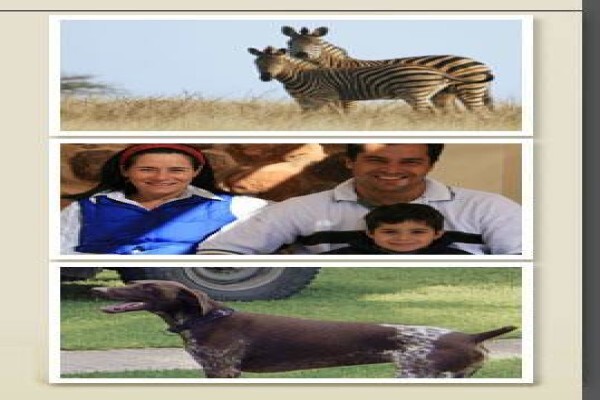 Magersfontein Guest Lodge