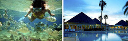Club Med