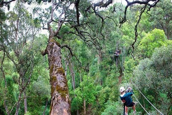 Karkloof Canopy Tours