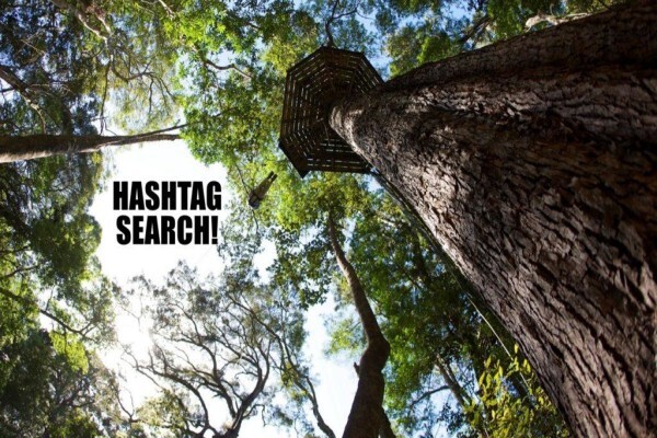 Karkloof Canopy Tours