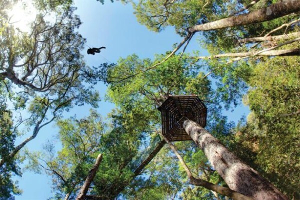 Karkloof Canopy Tours