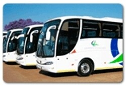 Limpopo Coaches