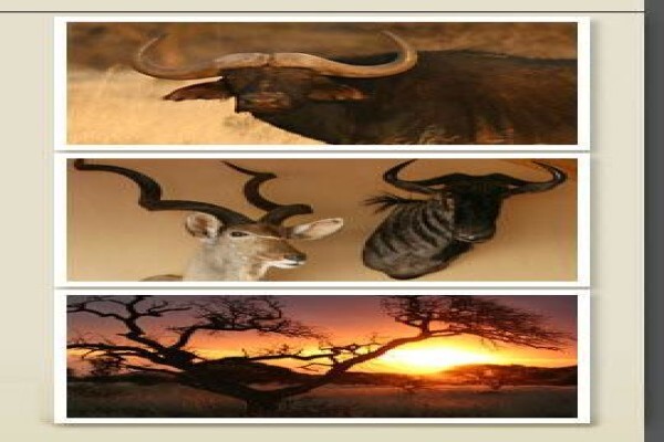 Magersfontein Guest Lodge