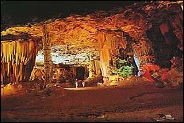Ordo Tours