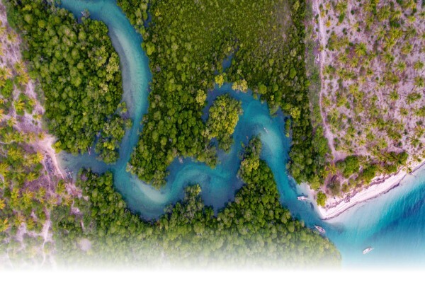 Rove Africa Islands & Safaris