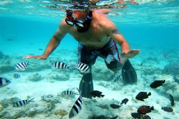 Rove Africa Islands & Safaris