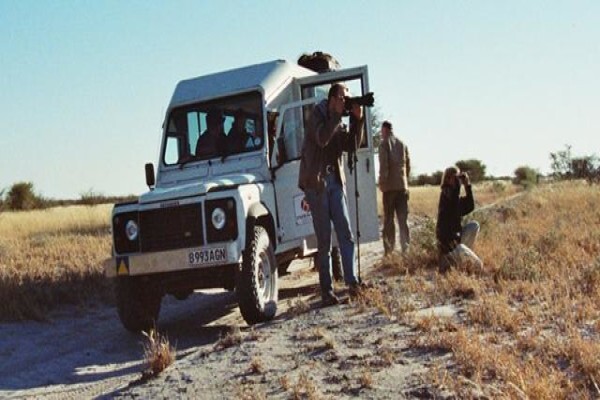 Safari Brothers