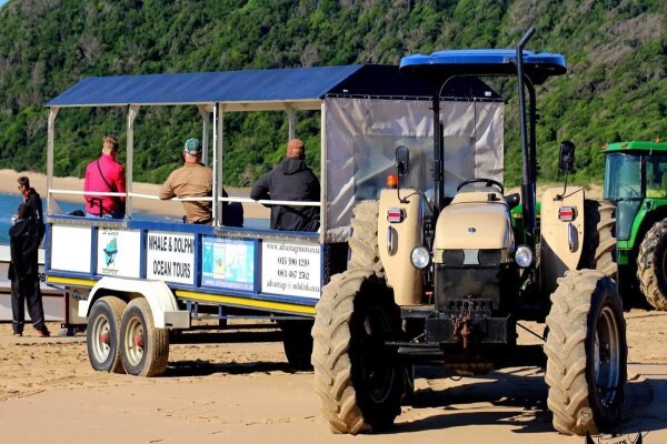 St Lucia Tours & Charters