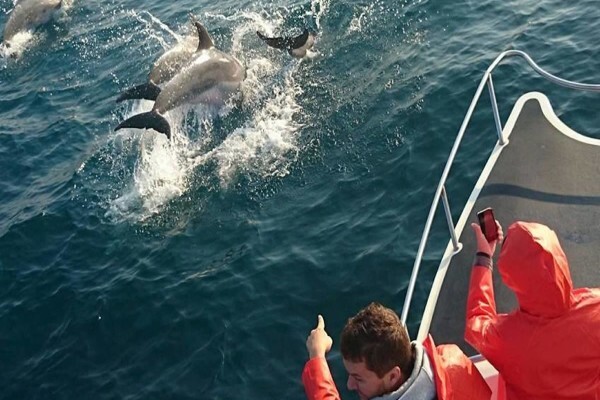 St Lucia Tours & Charters