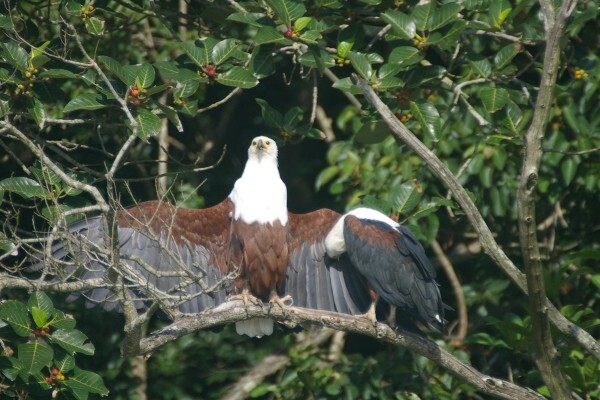 St Lucia Tours & Charters