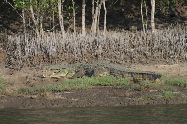 St Lucia Tours & Charters
